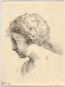 Plate 13- head of a young boy, in profile, from 'The Book for Learning to Draw' (Livre pour apprendre à dessiner) MET DP831142