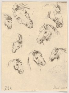 Plate 17- Nine studies of horse heads, from 'Various heads and figures' (Diverses têtes et figures) MET DP831161