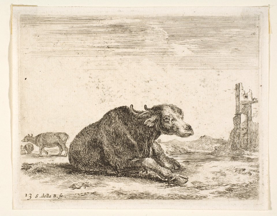 Plate 13- buffalo lying down, from 'Various animals' (Diversi animali) MET DP817749