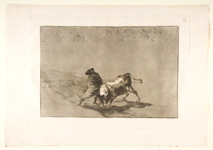 Plate 14 from the 'Tauromaquia'- The very skillful student of Falces, wrapped in his cape, tricks the bull with the play of his body. MET DP817780
