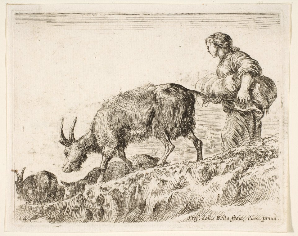 Plate 14- shepherdess herding goats, from 'Various animals' (Diversi animali) MET DP817752