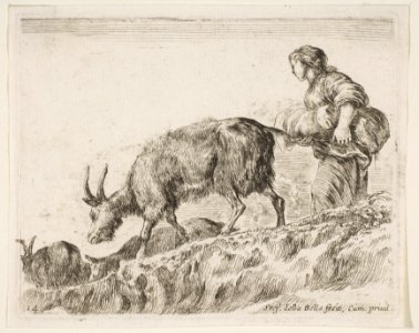 Plate 14- shepherdess herding goats, from 'Various animals' (Diversi animali) MET DP817752