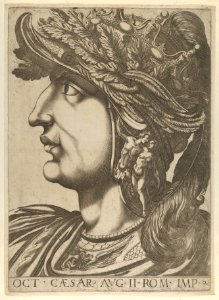 Plate 2- Octavius in profile to the left, from 'The Twelve Caesars' MET DP846532