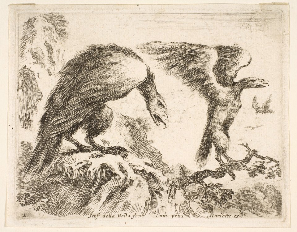 Plate 2- eagle and eaglet, from 'Various animals' (Diversi animali) MET DP817738