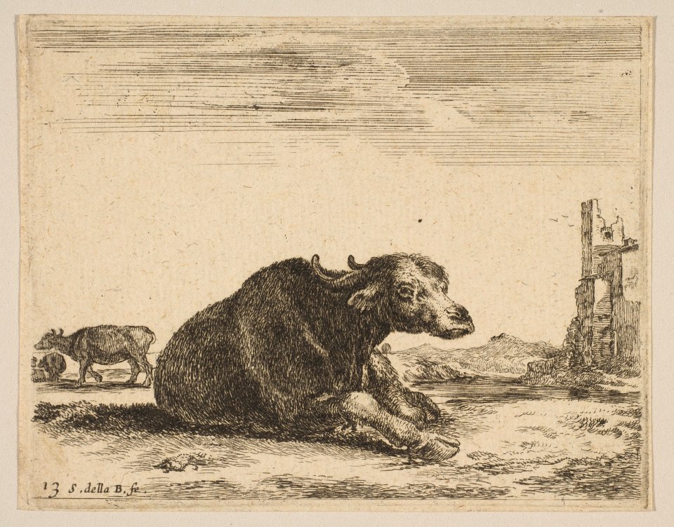 Plate 13- buffalo lying down, from 'Various animals' (Diversi animali) MET DP817859