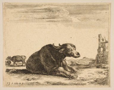Plate 13- buffalo lying down, from 'Various animals' (Diversi animali) MET DP817859