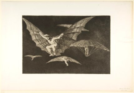 Plate 13 from the 'Disparates'- A Way of Flying MET DP817478