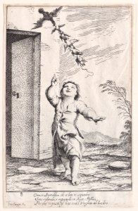 Plate 13- Bertoldino Met DP889618