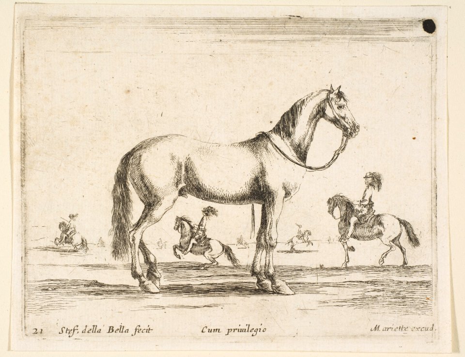 Plate 21- horse, from 'Various animals' (Diversi animali) MET DP817757