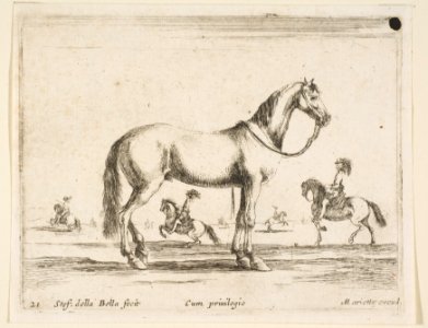 Plate 21- horse, from 'Various animals' (Diversi animali) MET DP817757