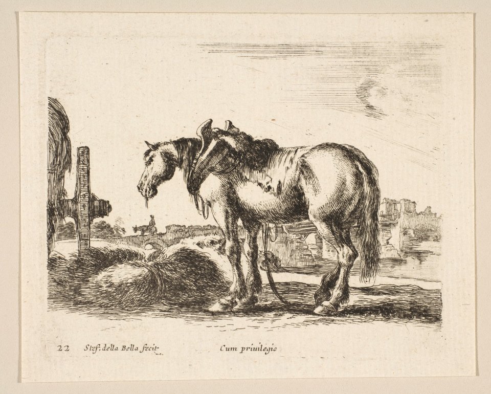 Plate 22- cart horse, from 'Various animals' (Diversi animali) MET DP817857