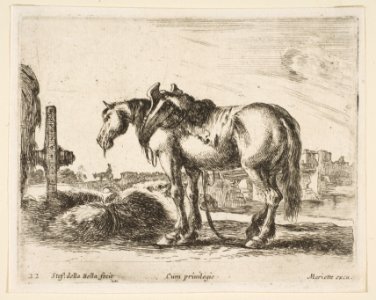 Plate 22- cart horse, from 'Various animals' (Diversi animali) MET DP817758