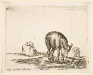 Plate 24- donkeys, from 'Various animals' (Diversi animali) MET DP817760