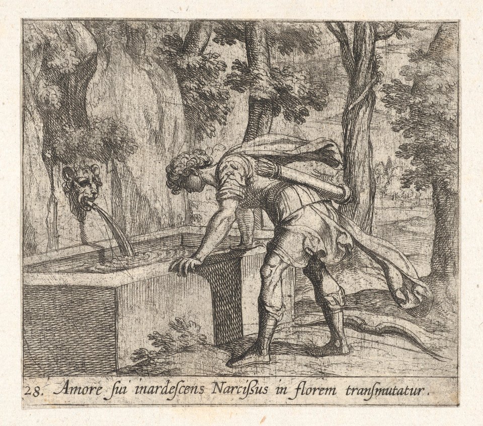 Plate 28- Narcissus at the Well (Amore fui inardescens Narcißus in florem transmutatur), from Ovid's 'Metamorphoses' MET DP864257