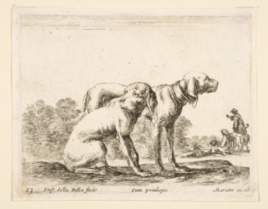 Plate 23- two hounds, from 'Various animals' (Diversi animali) MET DP817759