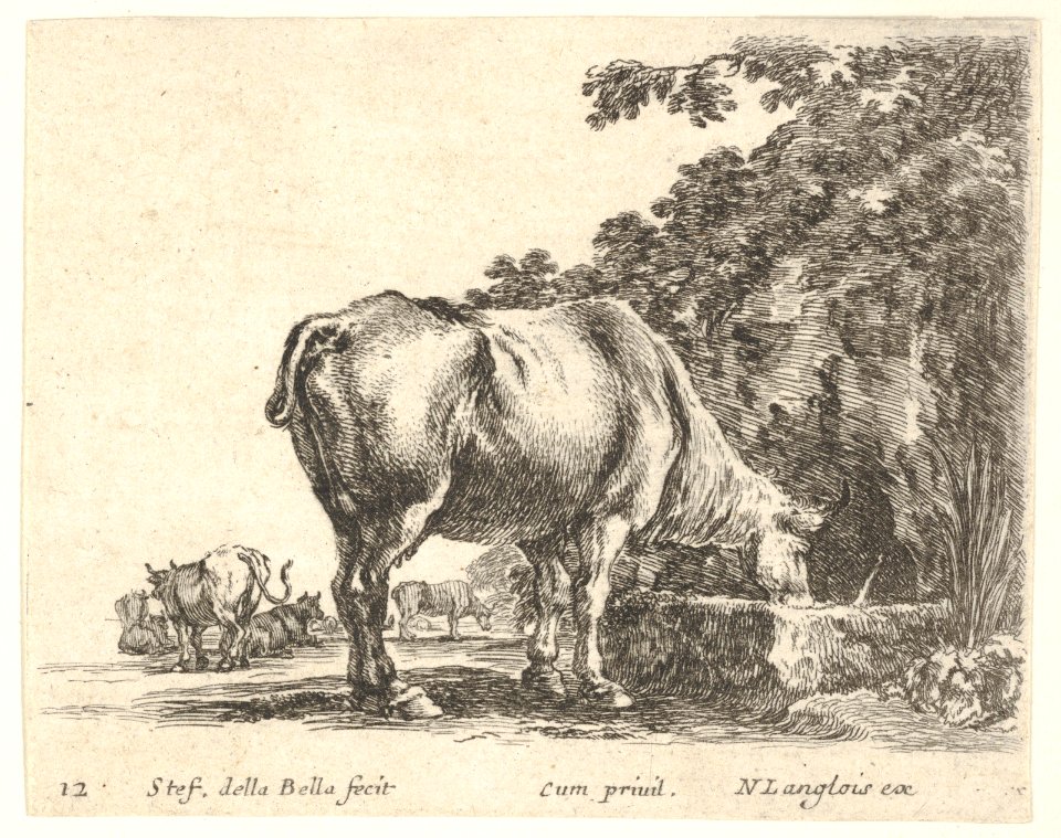 Plate 12- a cow drinking from a stone trough, other cows to left in background, from 'Diversi capricci' MET DP833189