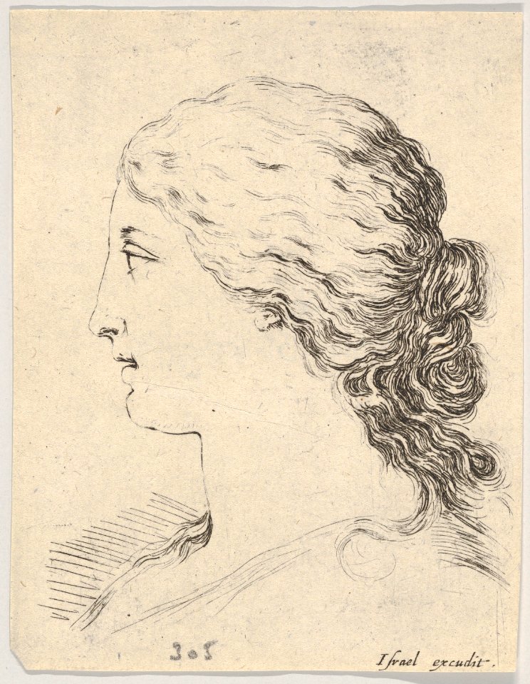 Plate 14- head of a woman, in profile, from 'The Book for Learning to Draw' (Livre pour apprendre à dessiner) MET DP831143