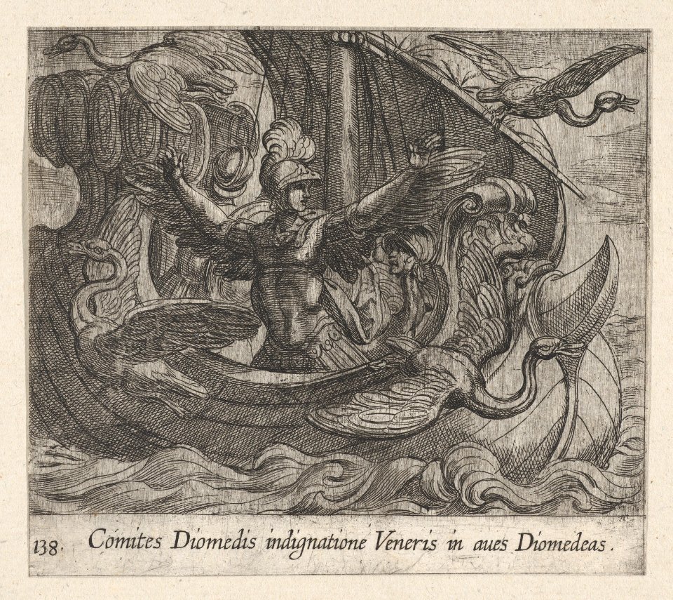 Plate 138- Acmon and his Friends Changed into Birds (Comites Diomedis indignatione veneris in aves Diomedeas), from Ovid's 'Metamorphoses' MET DP864229