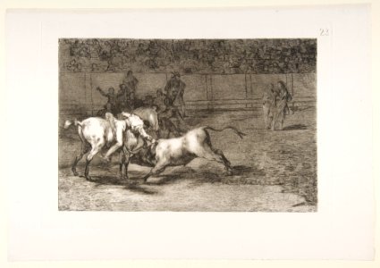 Plate 23 from the 'Tauromaquia'-Mariano Ceballos, alias the Indian, kills the bull from his horse. MET DP817520