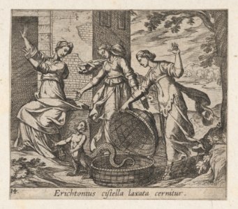 Plate 14- Erichthonius Released from his Basket (Erichtonius cistella laxata cernitur), from Ovid's 'Metamorphoses' MET DP864243