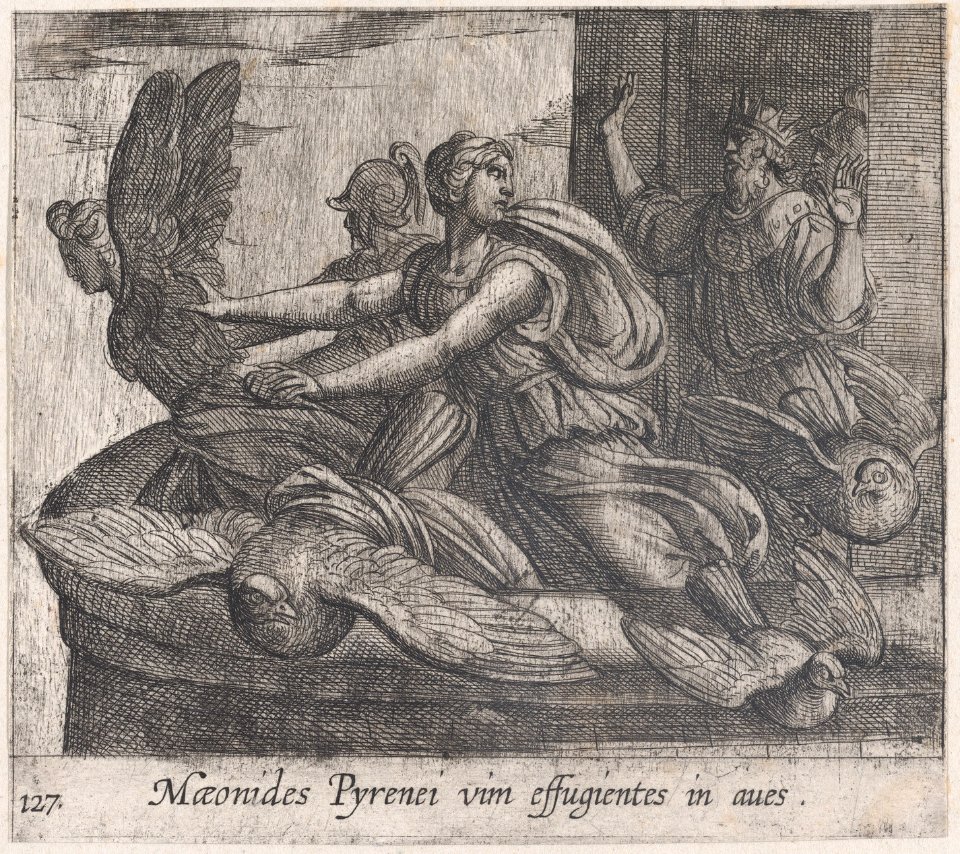 Plate 127- Anius's Daugthers Changing into Birds (Maeonides Pyrenei vim effugientes in aves), from Ovid's 'Metamorphoses' MET DP866532