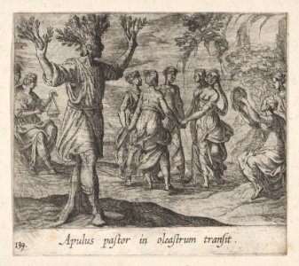 Plate 139- The Apulian Shepherd Changed into an Olive Tree (Apulus pastor in oleastrum transit), from Ovid's 'Metamorphoses' MET DP864230