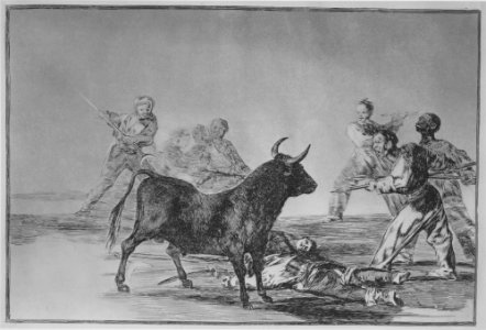 Plate 12 from the 'Tauromaquia'- The crowd hamstrings the bull with lances, sickles, banderillas and other arms. MET MM25257