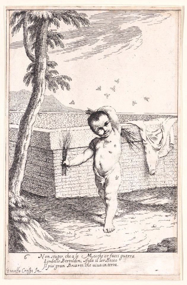 Plate 12- Bertoldino Met DP889617
