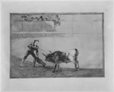 Plate 30 of the 'Tauromaquia'- Pedro Romero killing the halted bull. MET MM8276. Free illustration for personal and commercial use.