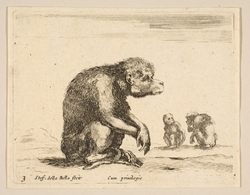 Plate 3- seated monkey, from 'Various animals' (Diversi animali) MET DP817858