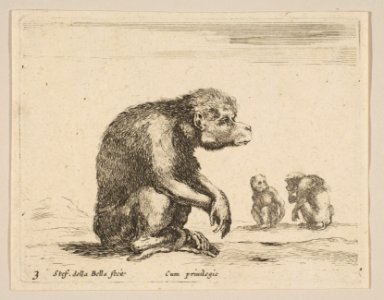 Plate 3- seated monkey, from 'Various animals' (Diversi animali) MET DP817858