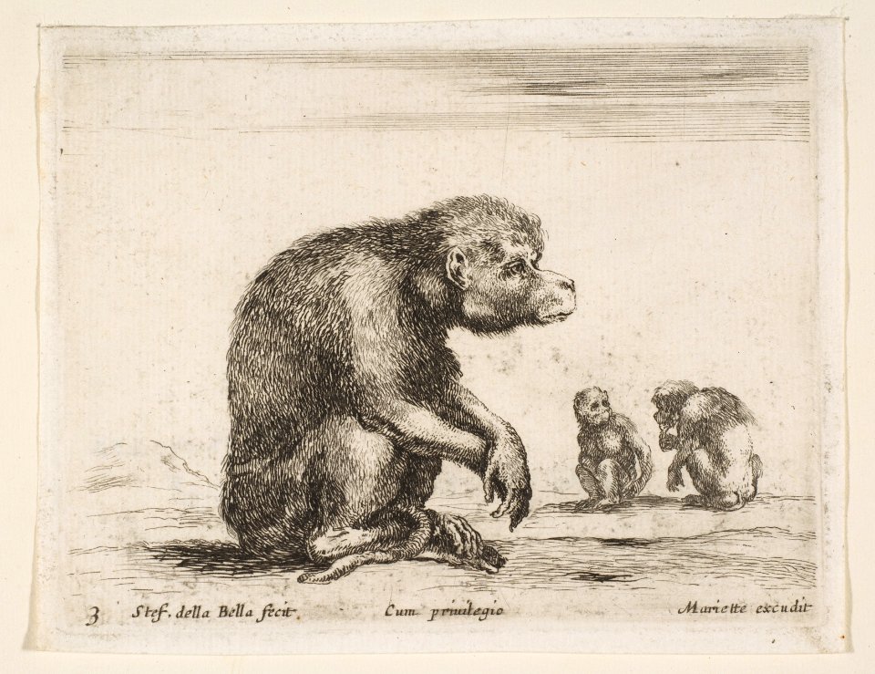 Plate 3- seated monkey, from 'Various animals' (Diversi animali) MET DP817740