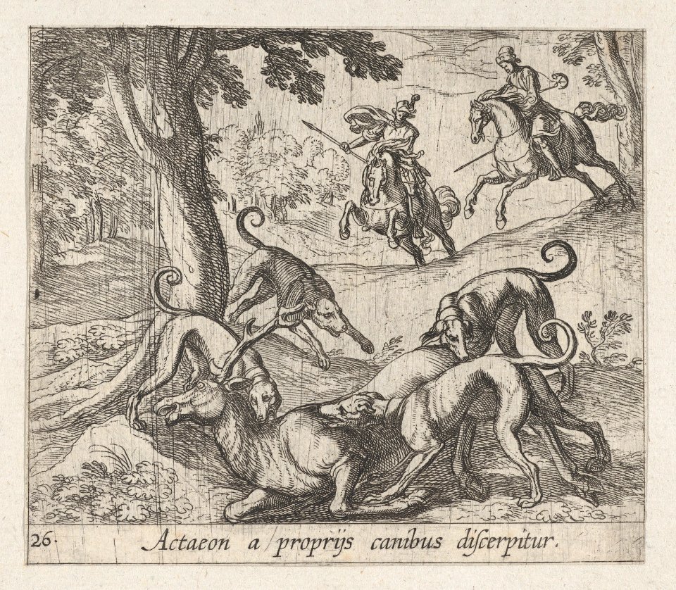 Plate 26- Actaeon Killed by His Dogs (Actaeon a proprÿs canibus discerpitur), from Ovid's 'Metamorphoses' MET DP864255