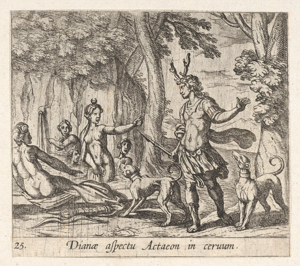 Plate 25- Acteon Changed into a Stag (Dianae aspectu Actaeon in ceruum), from Ovid's 'Metamorphoses' MET DP864254