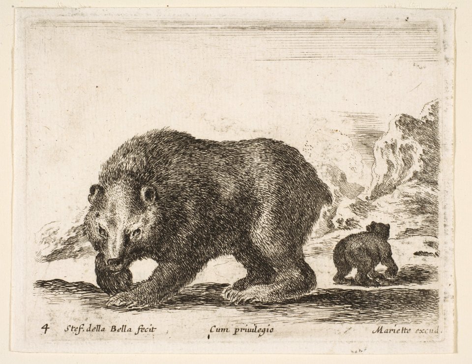 Plate 4- bear, from 'Various animals' (Diversi animali) MET DP817742