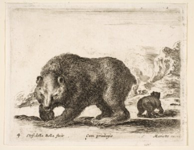 Plate 4- bear, from 'Various animals' (Diversi animali) MET DP817742