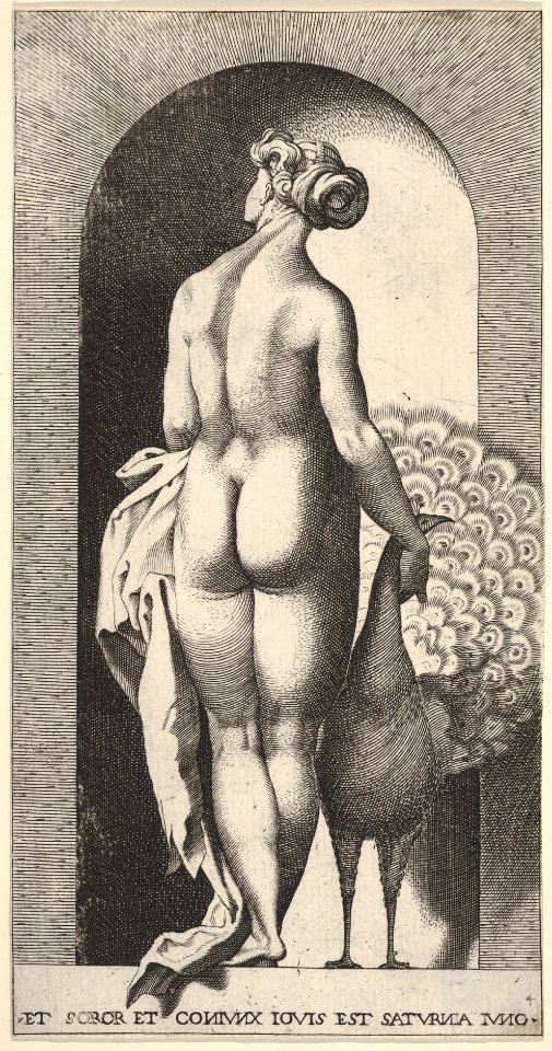 Plate 4- Juno standing in a niche, viewed from behind, stroking a peacock to her right, from a series of mythological gods and goddesses MET DP830912