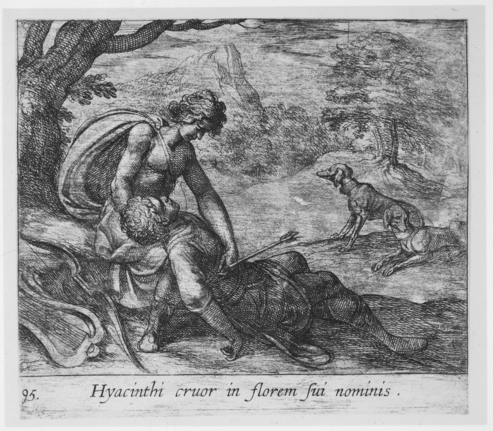 Plate 95- The Death of Hyacinthus (Hyacinthi cruor in florem sui nominis), from Ovid's 'Metamorphoses' MET MM89773