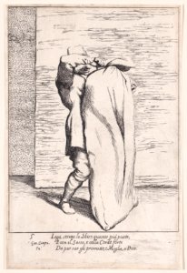 Plate 5- Bertoldo Met DP889621