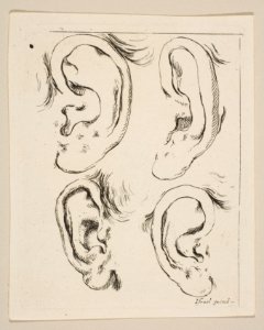 Plate 5- four ears, from 'The Book for Learning to Draw' (Livre pour apprendre à dessiner) MET DP817852