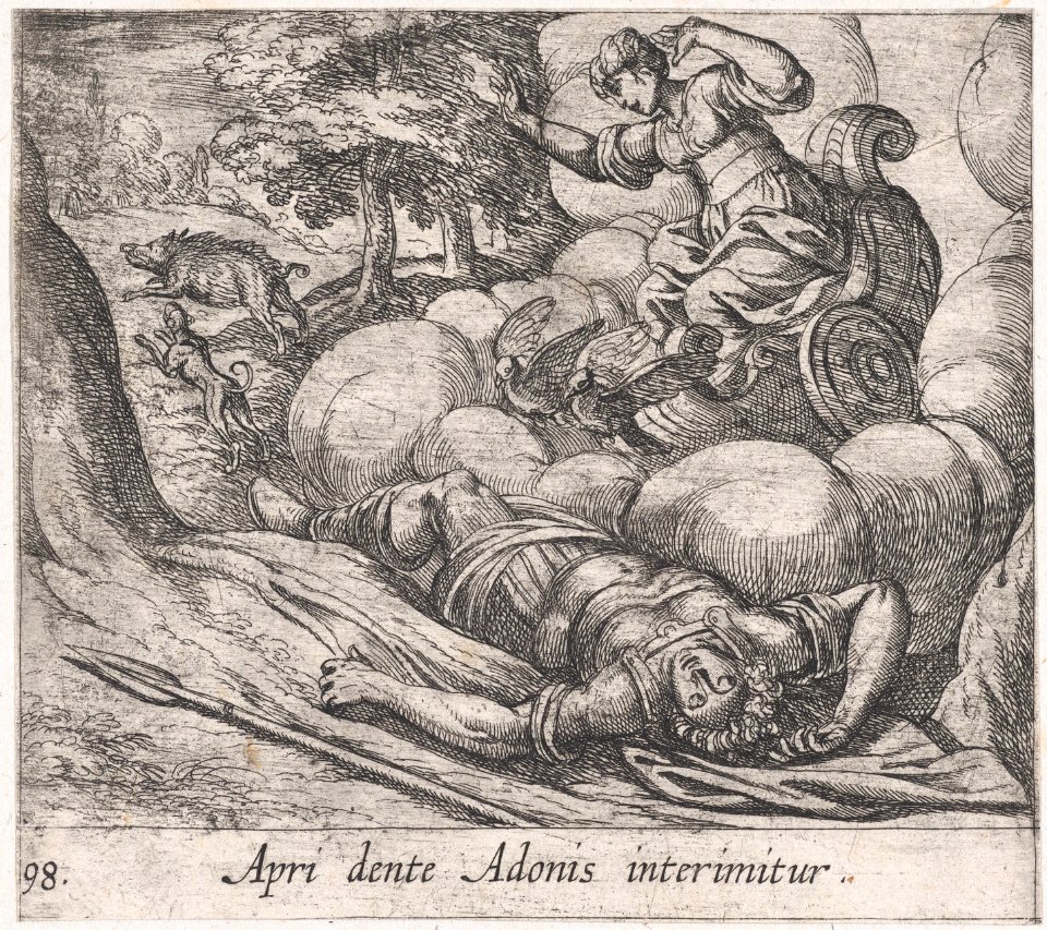 Plate 98- The Metamorphosis of Adonis (Apri dente Adonis interimitur), from Ovid's 'Metamorphoses' MET DP866551
