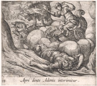 Plate 98- The Metamorphosis of Adonis (Apri dente Adonis interimitur), from Ovid's 'Metamorphoses' MET DP866551