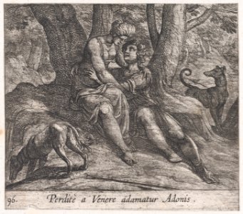 Plate 96- Venus and Adonis Embracing (Perditè a Venere adamatur Adonis), from Ovid's 'Metamorphoses' MET DP866549