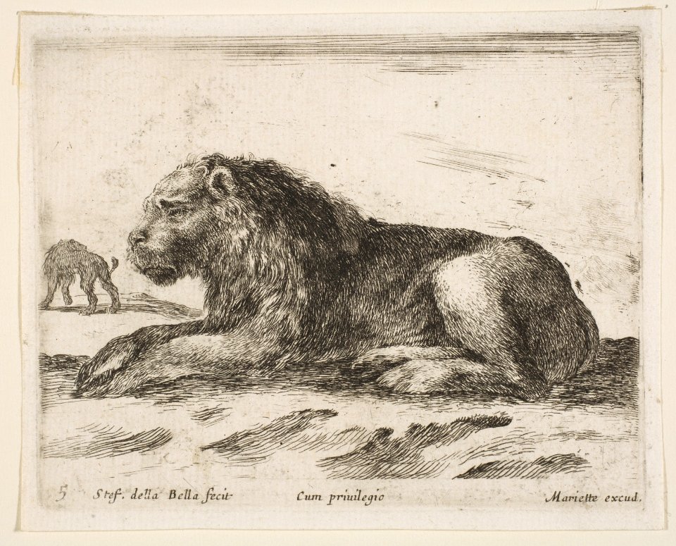 Plate 5- reclining lion, from 'Various animals' (Diversi animali) MET DP817741