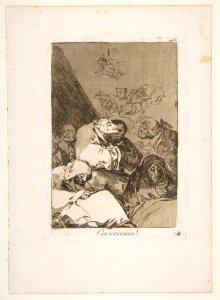 Plate 46 from ' Los Caprichos'- Correction (Correccion.) MET DP816985
