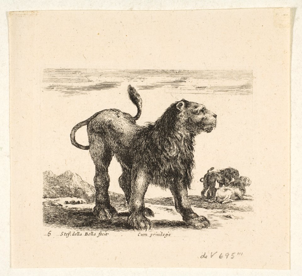 Plate 6- lion, from 'Various animals' (Diversi animali) MET DP817876