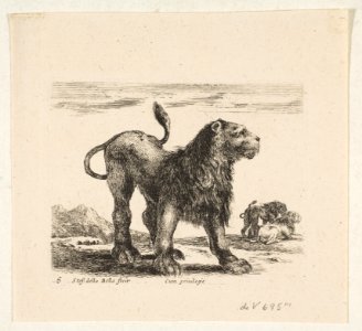 Plate 6- lion, from 'Various animals' (Diversi animali) MET DP817876