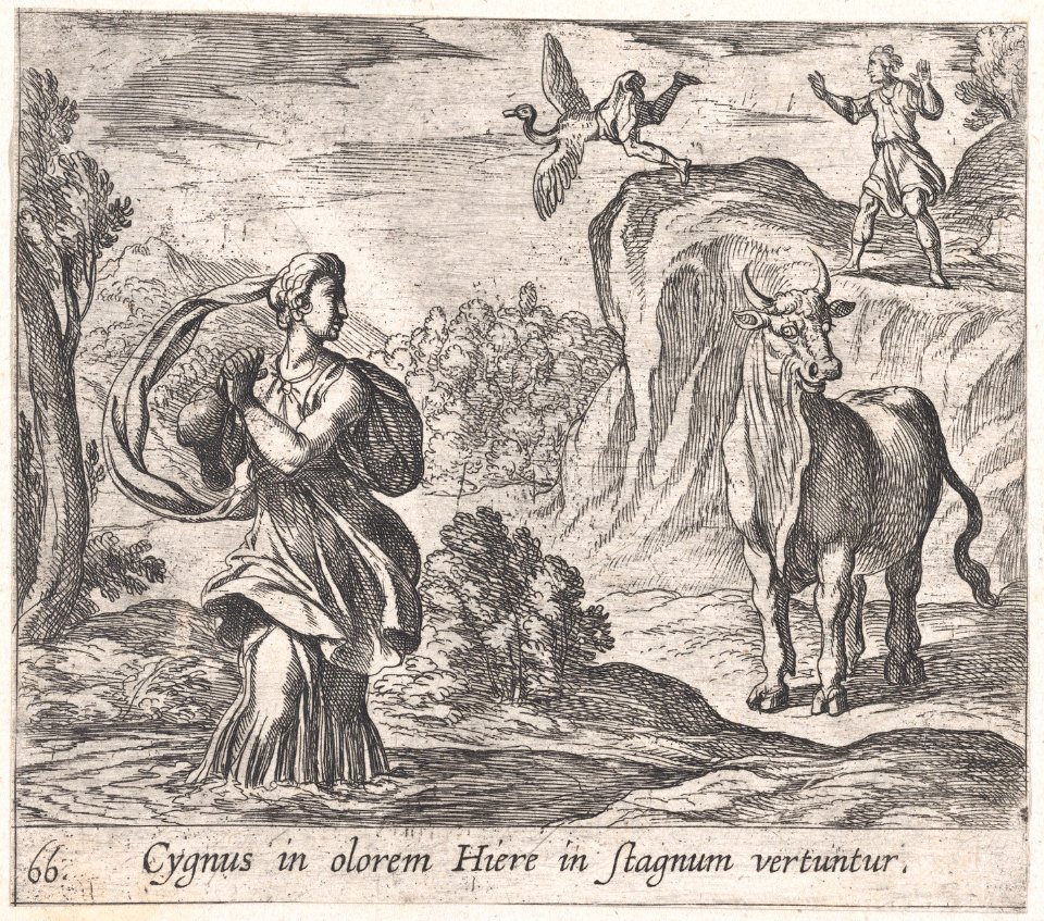 Plate 66- Cycnus and Hyrie (Cygnus in olorem Hiere in stagnum vertuntur), from Ovid's 'Metamorphoses' MET DP866513