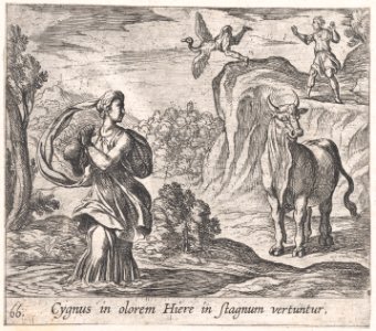 Plate 66- Cycnus and Hyrie (Cygnus in olorem Hiere in stagnum vertuntur), from Ovid's 'Metamorphoses' MET DP866513