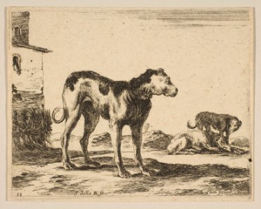 Plate 11- dogs, from 'Various animals' (Diversi animali) MET DP817864